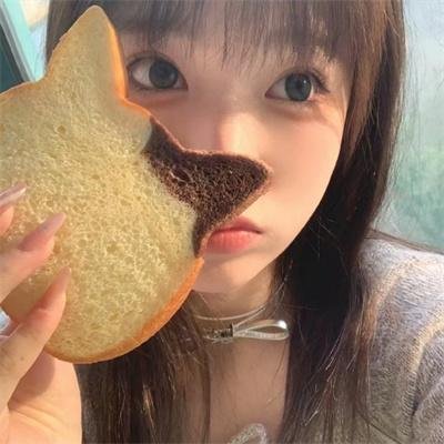 熊猫计划